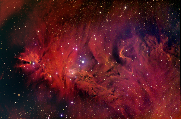 Pics/RecentPics/ngc2264-small.jpg