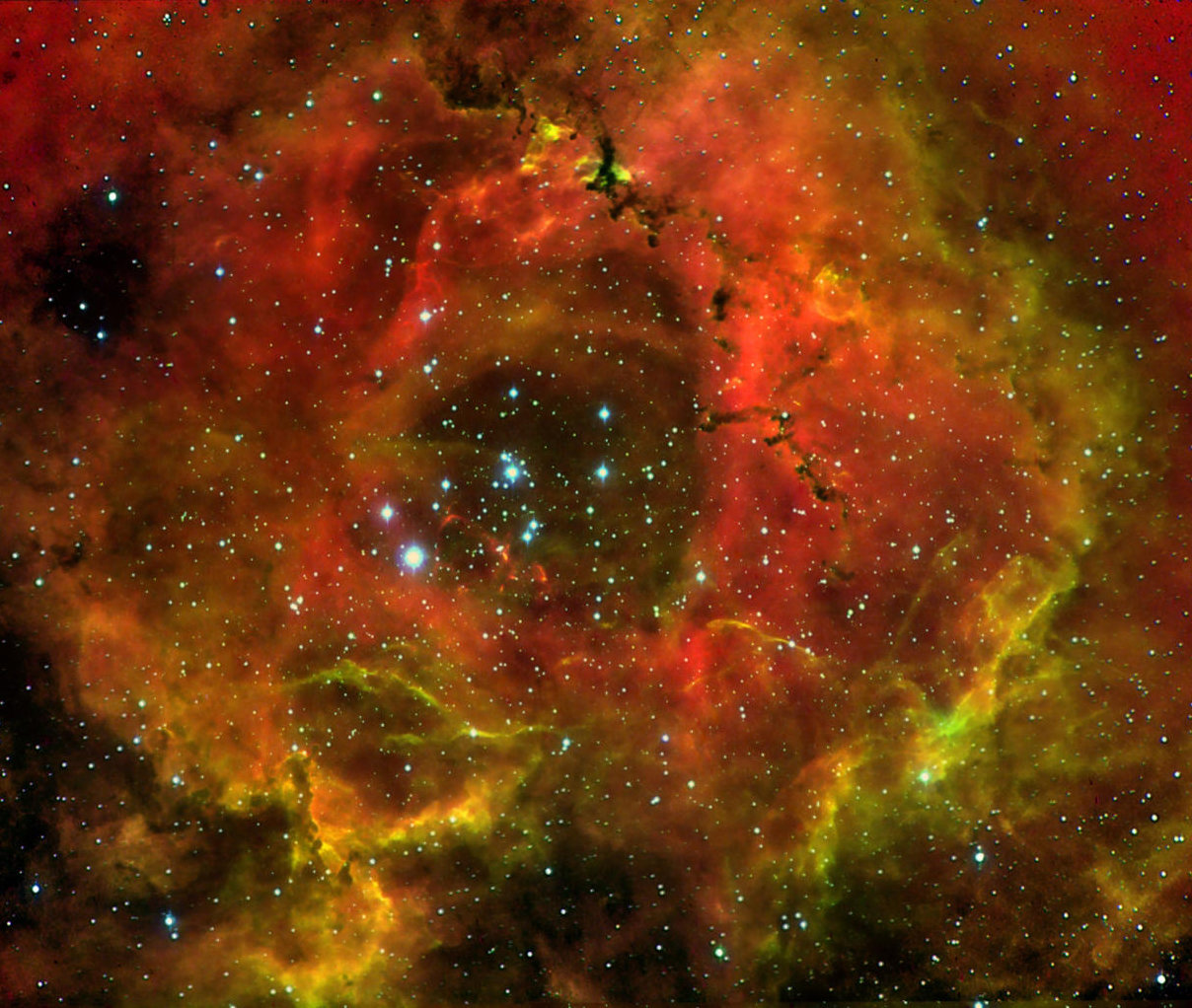 NGC 2239